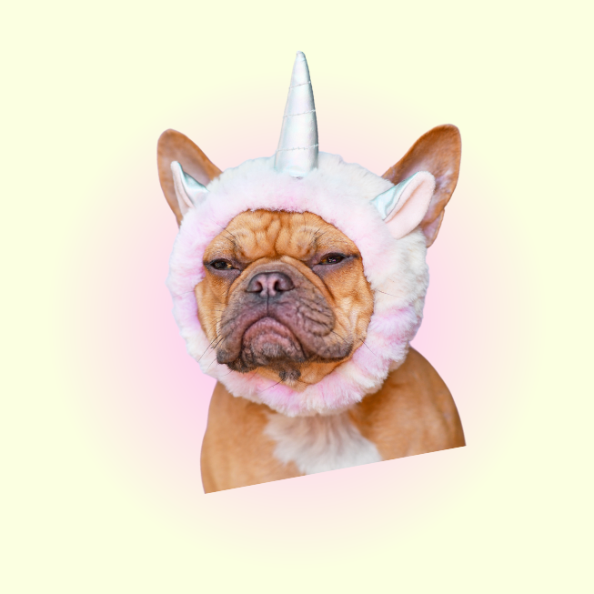 studiomila-site-visuel4